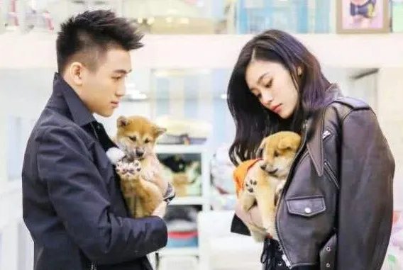 奚梦瑶和何猷君怎么认识的？