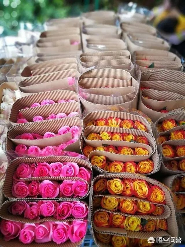 云南有哪些大的鲜花市场?