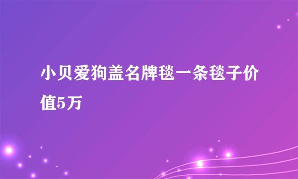 小贝爱狗盖名牌毯一条毯子价值5万