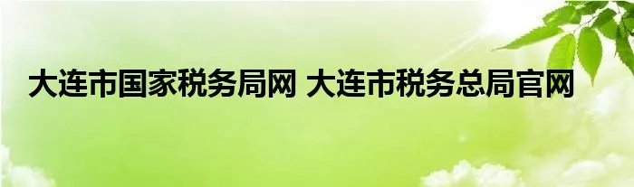 大连市国家税务局网 大连市税务总局官网