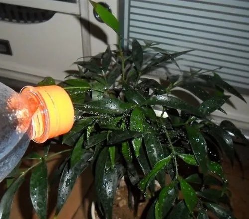 自制实用喷水壶