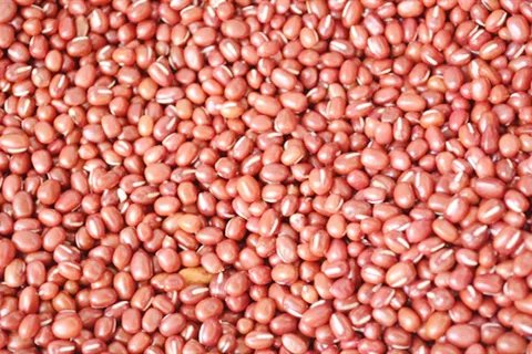 阴囊潮湿吃什么食物好