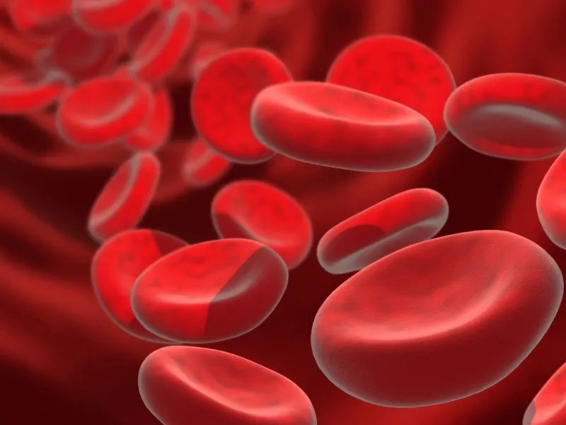 冻干人凝血因子的使用