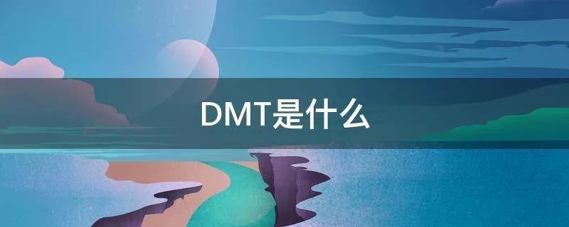 DMT是什么