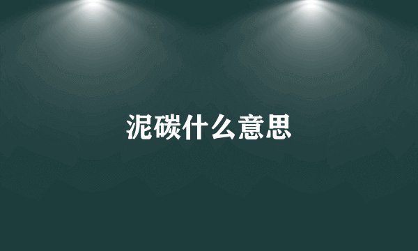 泥碳什么意思
