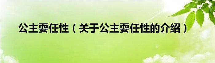 公主耍任性（关于公主耍任性的介绍）