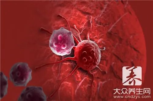 沉香木有何功效?