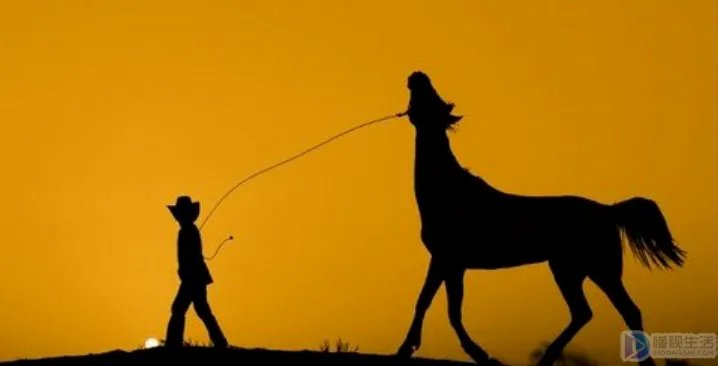 剪影照片怎么拍