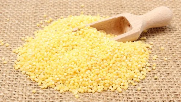 养胃的食物有哪些