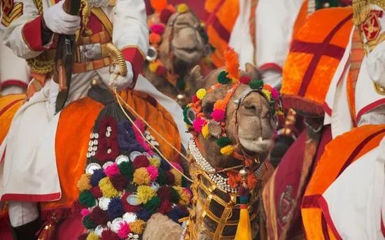 为什么印度阅兵那么多乱七八糟的