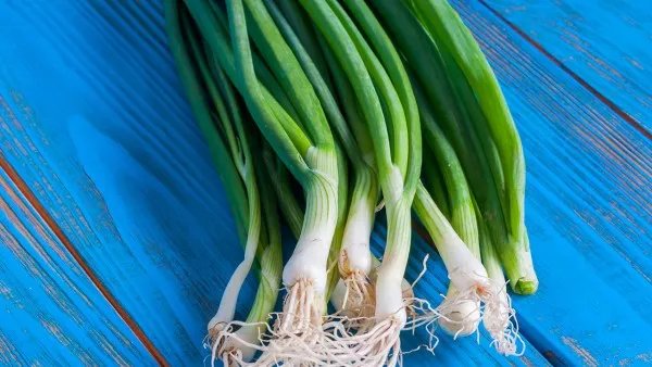 大葱的作用和功效 大葱营养价值有哪些