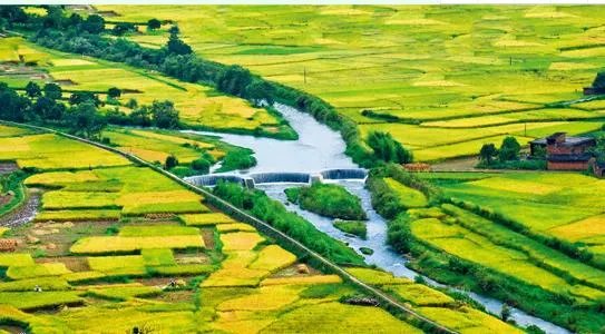 福建7地入选“中国森林氧吧”,分别是哪7个?