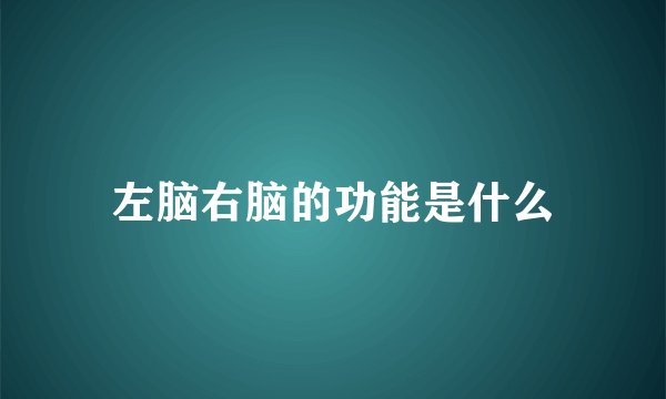 左脑右脑的功能是什么