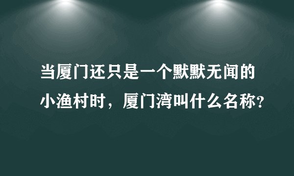 当厦门还只是一个默默无闻的小渔村时，厦门湾叫什么名称？