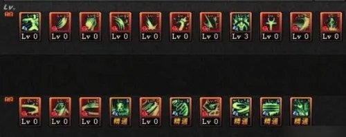 dnf女圣职者怎么加点