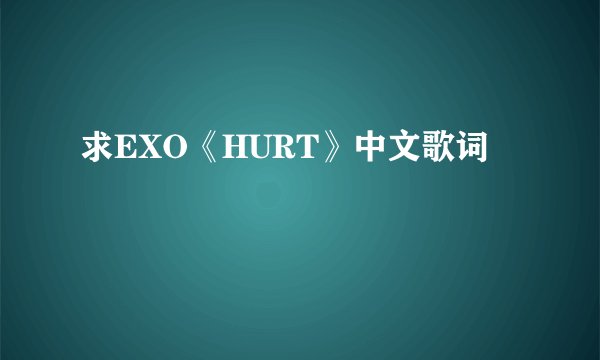 求EXO《HURT》中文歌词