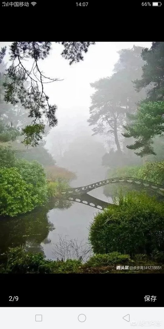 你觉得玉林这座城市怎么样?