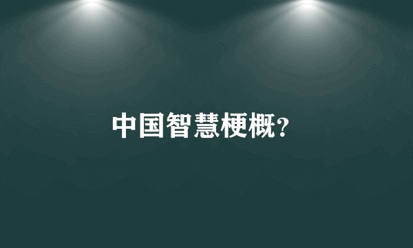 中国智慧梗概？