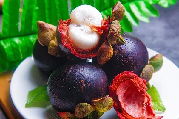 山竹的营养价值