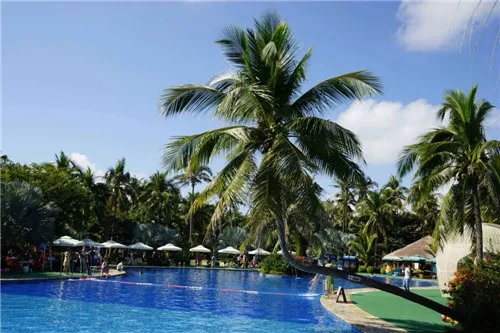 海南房价历史走势图  2017年海南适合买房吗