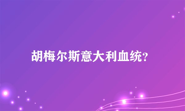 胡梅尔斯意大利血统？