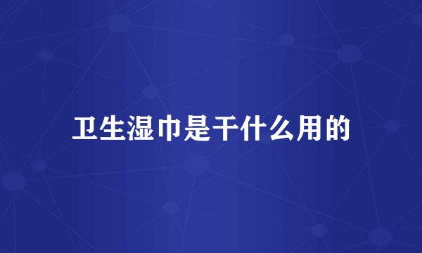 卫生湿巾是干什么用的