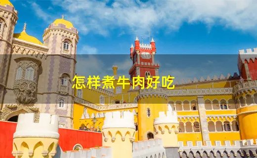 怎样煮牛肉好吃