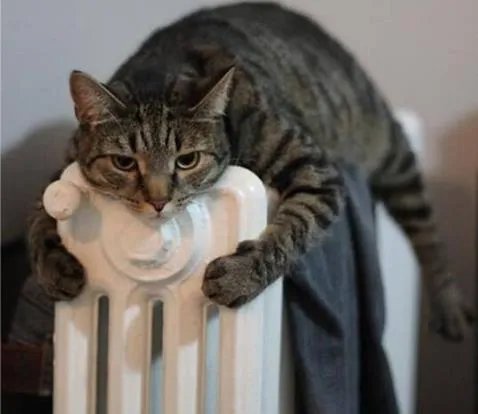 女生暖气管烫刘海怎么回事 暖气管还有哪些你不知道的操作