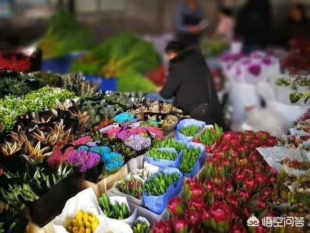 云南有哪些大的鲜花市场?
