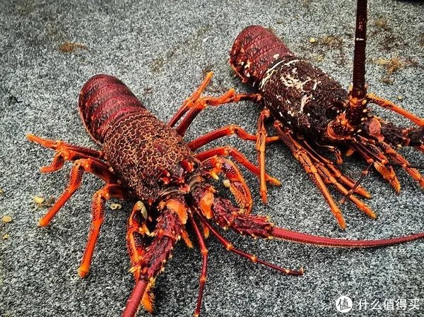 龙虾怎么做好吃