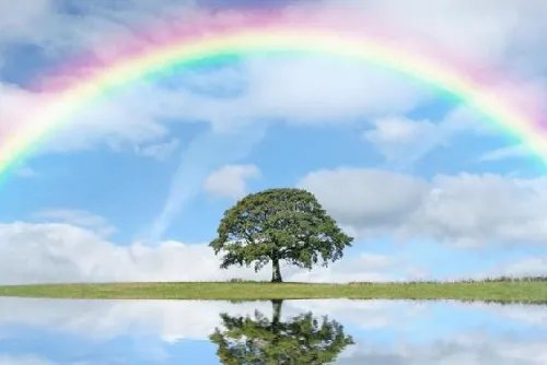 男人面相凶代表什么 一脸凶相的男人啥命