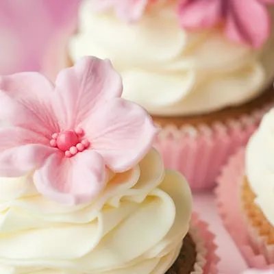 妇幼保健院：婴儿感冒的治疗