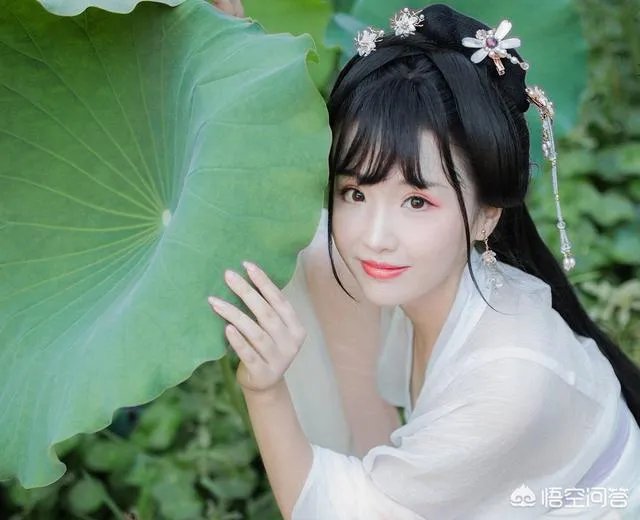 莲叶何田田的意思是什么