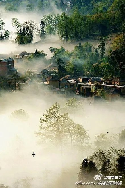 女生在家用什么东西撸铁好？