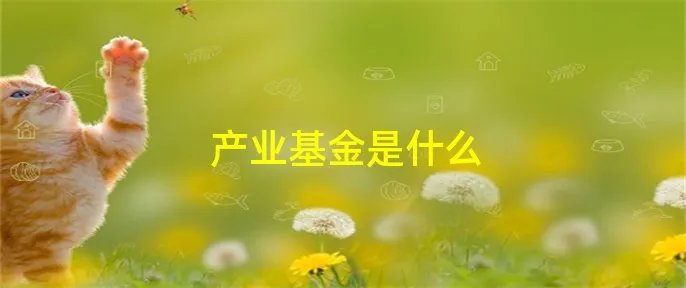 产业基金是什么