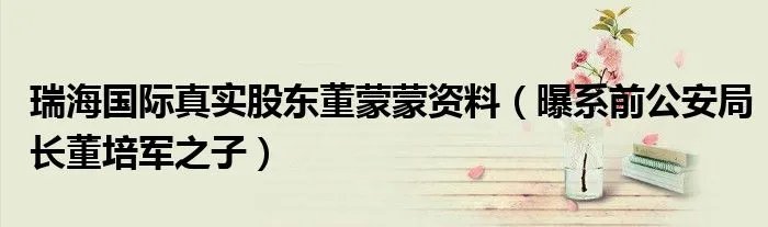 瑞海国际真实股东董蒙蒙资料（曝系前公安局长董培军之子）