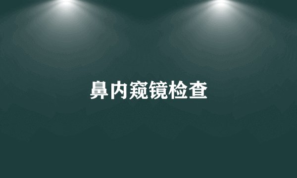 鼻内窥镜检查