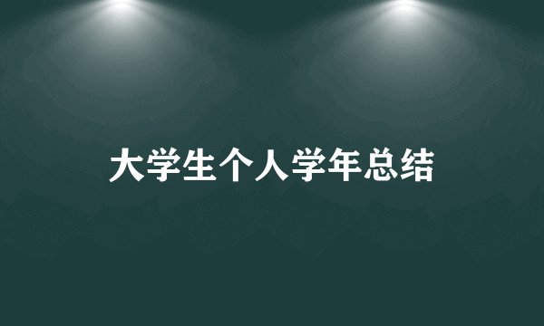 大学生个人学年总结
