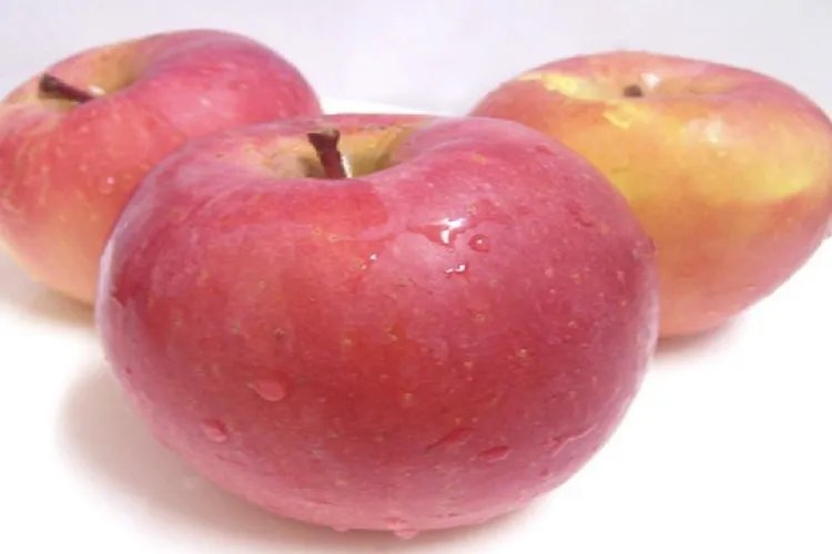 血糖高适合吃什么样的水果