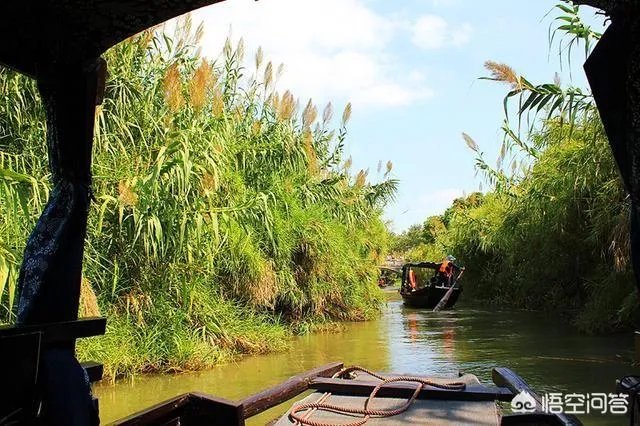 京剧《沙家浜》的前身是什么？