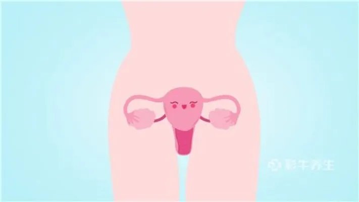 纳氏囊肿是什么