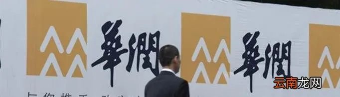 华润集团宋林最终结局是什么？