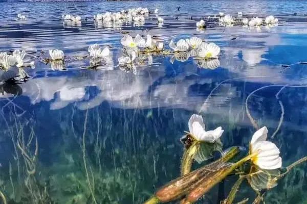 怎么去泸沽湖 如何达到泸沽湖