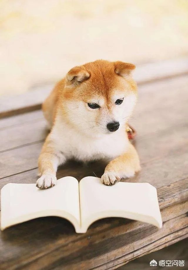 怎样才算换个活法？