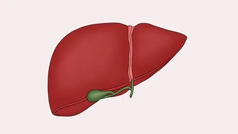 肝癌晚期是什么症状