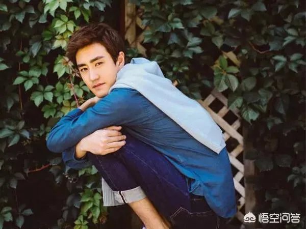 杨玏这个演员怎么样？