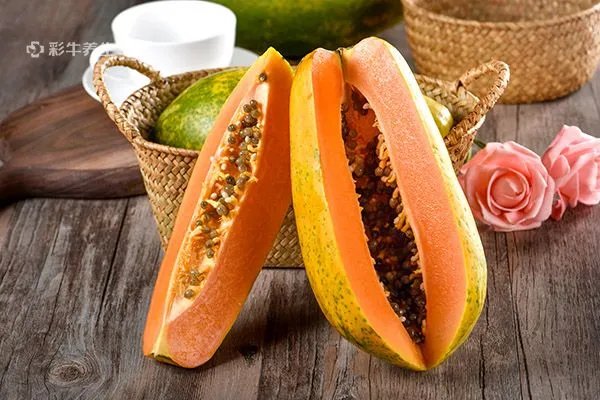 养肝护肝吃什么