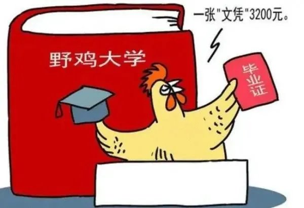 山东十大野鸡院校