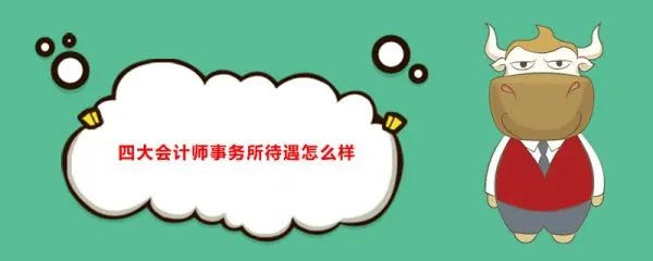 中国会计师事务所排名