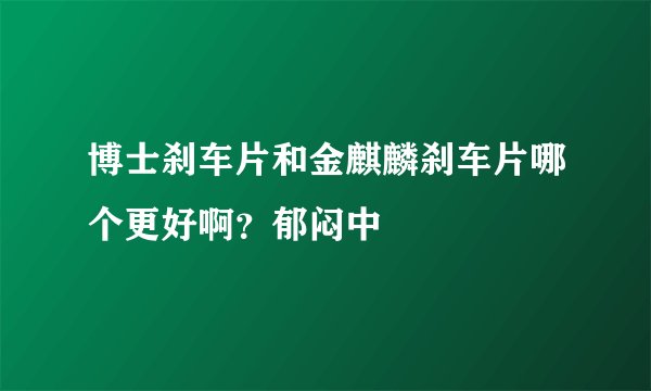 博士刹车片和金麒麟刹车片哪个更好啊？郁闷中